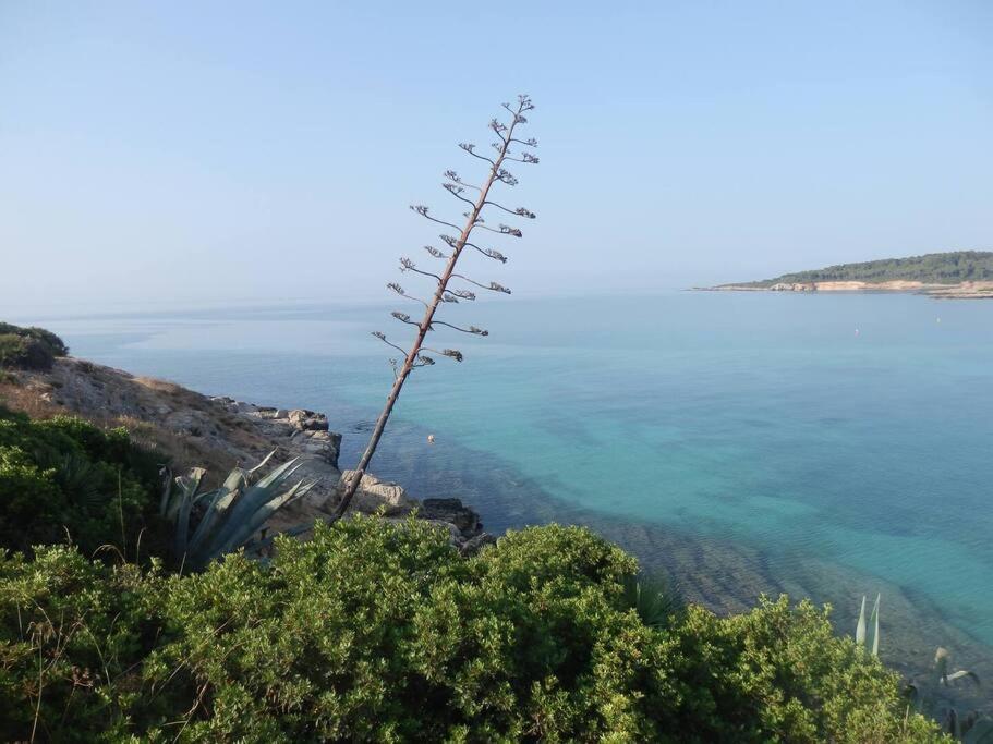 Greenfish House, Fertilia Near The Beach Villa Exterior photo